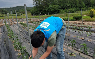 [화순군 동복면]농촌일손돕기 지원