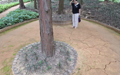 [순천시] 우리동네 복지기동대 힐링프로그램 …
