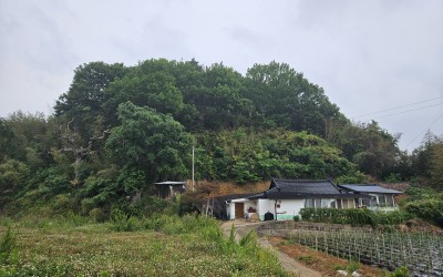 [함평군 함평읍] 복지기동대 6차 출동