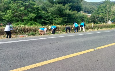 [장흥군 유치면]복지기동대 깨끗한 환경만들기