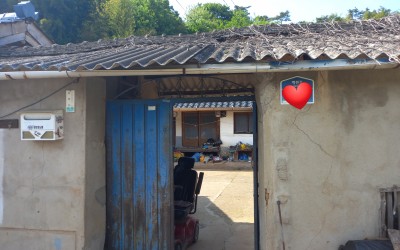[화순군 화순읍] 고독사 위기가구 안부확인 …