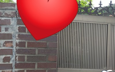 [화순군 화순읍] 안부확인 및 거동불편 어르…