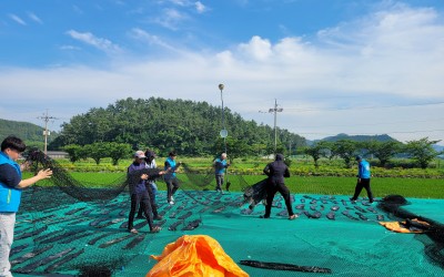 [완도군 금당면]어촌 일손돕기 봉사활동(다시…