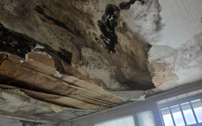 [목포시 대성동] 천장합판, 벽지 교체