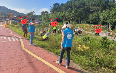 [완도군 금당면]노인일자리 도로변 풀베기 작…