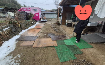 영암군 서호면 복지기동대활동