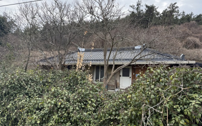 [진도군 임회면]전화 빨리 고쳐드릴께요!