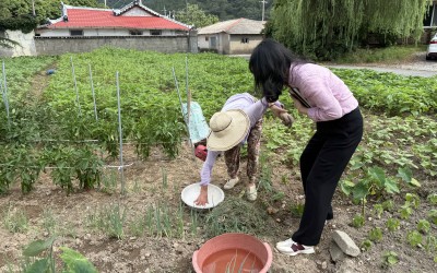 [진도군 임회면] 더위를 이겨낼 관심을 전달…
