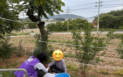 [신안군 안좌면] 무더위보다 먼저, 안부를 …