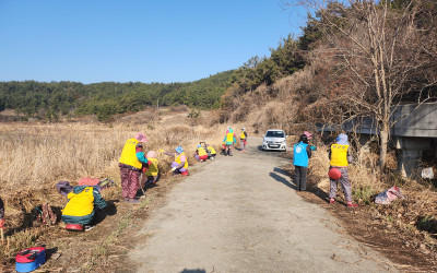 [완도군 약산면]노인일자리 안전점검