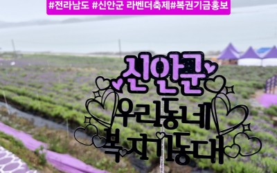 [신안군 노인건강과] 2025년 퍼플섬 라벤…