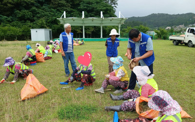 [완도군 금당면]노인일자리 온열질환 예방 물…