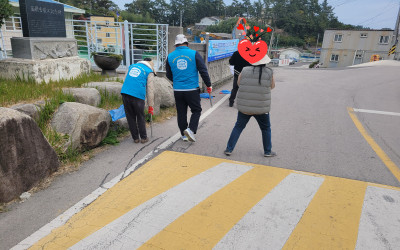 [완도군 금당면]주요 도로변 일제 대청소 실…