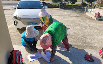 [완도군 금당면]노인일자리 현장점검 및 활동…