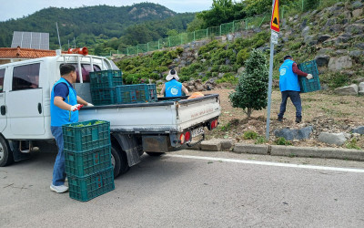 [완도군 금당면]여름꽃 식재 작업(가학리)