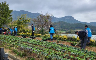 진도군 조도면(겨울꽃 심기 봉사활동)