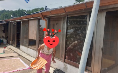 [완도군 고금면] 주거취약계층 발굴 조사