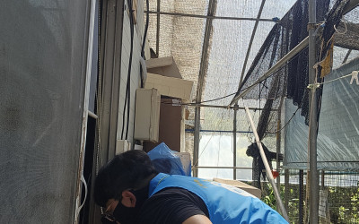 [완도군 완도읍] 복지기동대와 의용소방대 화…