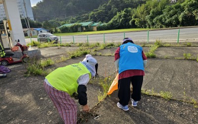 [강진군 성전면] 환경정화