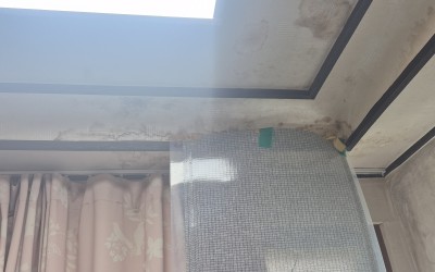 [순천시 매곡동] 정신장애인 세대에 새로운 …