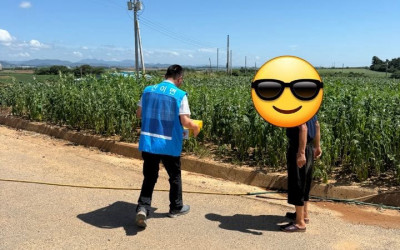 [해남군 산이면] 💙 제철과일에 안부를 담아…