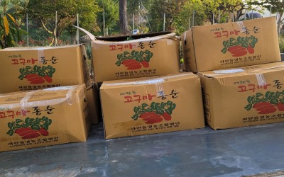 (순천시 승주읍) 지역특화사업 추진