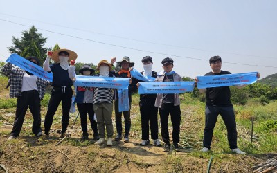 [함평군] 함평군 복지기동대 마늘밭 출동~!