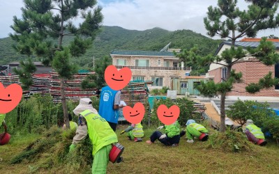 [완도군 보길면]노인일자리 안전점검 및 생수…