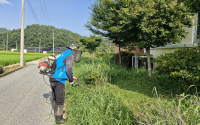 [강진군 옴천면] 옴천면 주요도로 예초기 정…