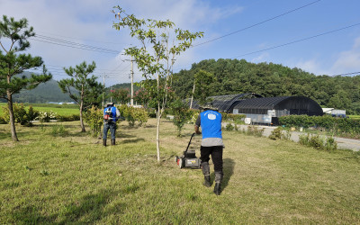 [강진군 옴천면] 옴천면 주요도로 예초기 봉…