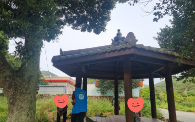 [완도군 보길면] 노인일자리 현장점검