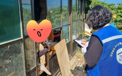  [완도군 소안면]안부를 묻는것에서 부터 시…