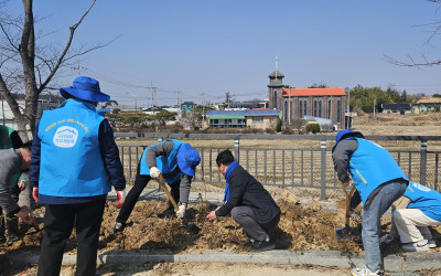 [영광군 대마면] 나무심기 자원봉사 참여