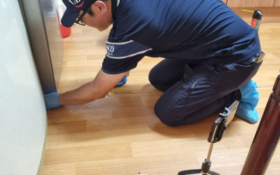 [장성군 북일면]우리동네 복지기동대 해충방역…