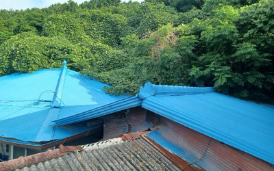 주택을 뒤덮은 칡넝쿨제거. 우리동네복지기동대…