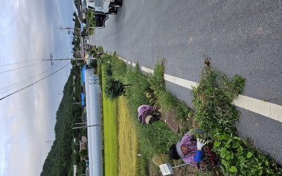 [해남군 삼산면] 명절맞이 대청소