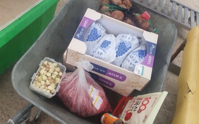 [해남군 삼산면] 반찬 봉사