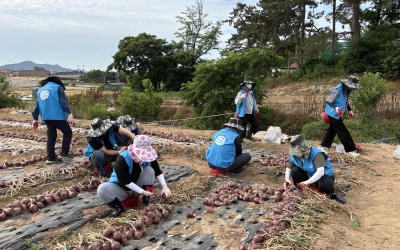 [함평군 엄다면] 2025년 농촌일손돕기 지…