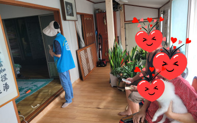 [완도군 금당면]복지기동대(복권기금) 생활불…