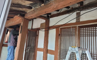 [완도군 금당면]복지기동대(복권기금) 생활불…