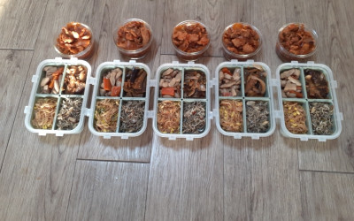 [해남군 문내면] 반찬 나눔 및 안부 살피기