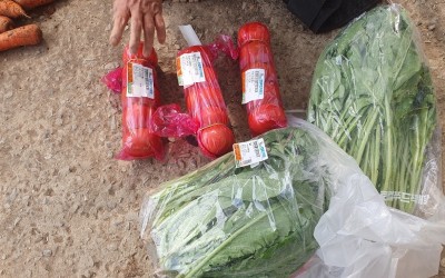 [해남군 삼산면] 1복지기동대원 1가구 살피…