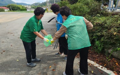 [강진군 성전면] 처인 마을 정화