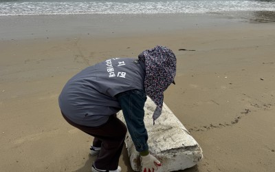 [완도군 신지면] 환경정화활동